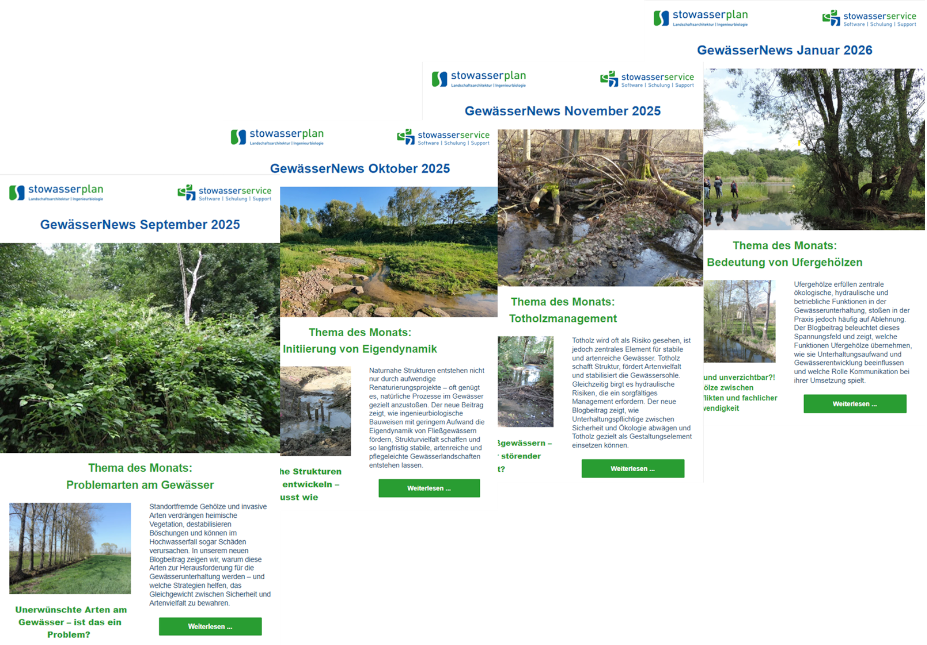 StowasserService-NewsletterBeispiele-1 StowasserService-NewsletterBeispiele-1
