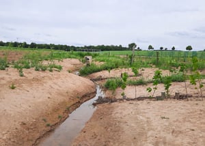 Tauchnitzgraben_26-06-03_124
